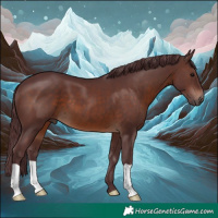 Horse Color:Chocolate Brown 