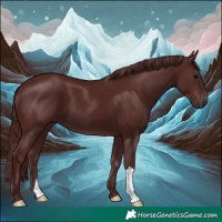 Horse Color:Gray Chocolate Black 
