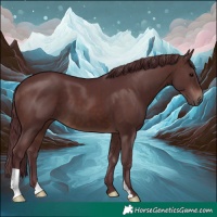 Horse Color:Chocolate Brown 