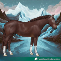 Horse Color:Gray Chocolate Brown 