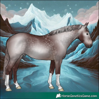 Horse Color:Gray Chocolate Brown 