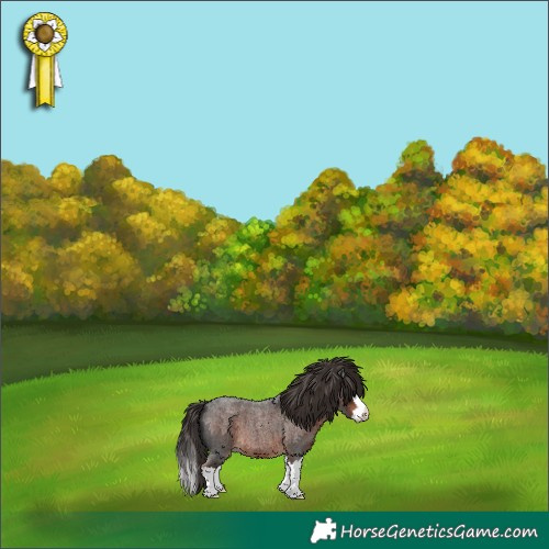 Horse Color:Liver Red Roan Splash 