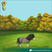 Horse Color:Liver Red Roan Splash