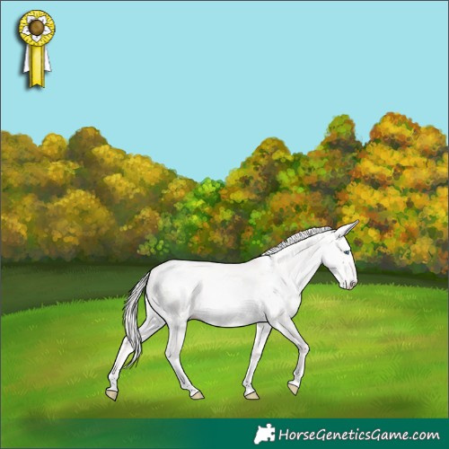 Horse Color:White Spotted Cremello Dun Tobiano 