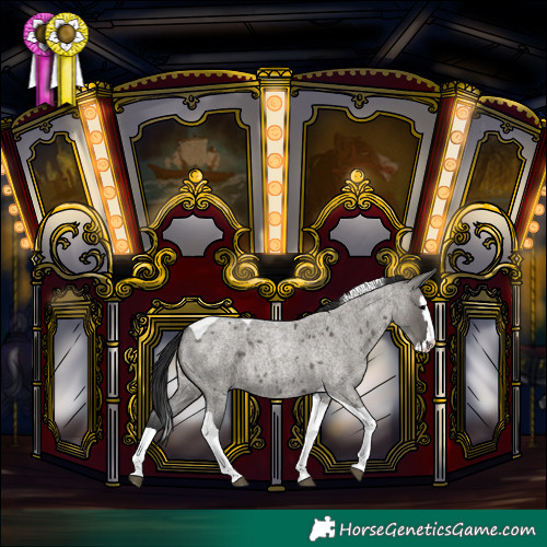 Horse Color:Grullo Roan Splash Tobiano 