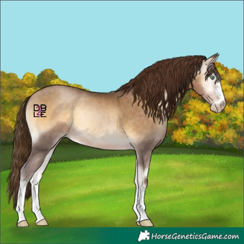Horse Color:Gray Buckskin Pearl Onyx