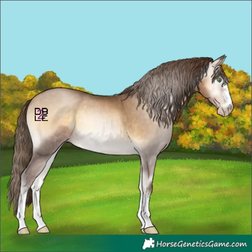 Horse Color:Gray Buckskin Pearl Onyx 