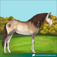 Horse Color:Gray Buckskin Pearl Onyx 