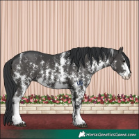 Horse Color:Black Sabino