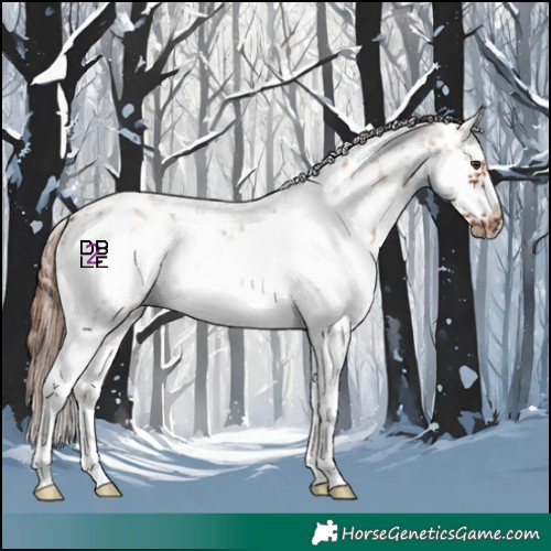 Horse Color:White Spotted Chestnut Sabino Frame