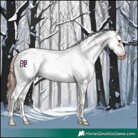 Horse Color:White Spotted Chestnut Sabino Frame 