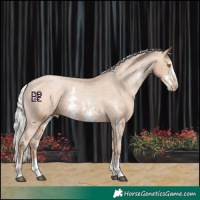 Horse Color:Silver Black Pearl Sabino Appaloosa 