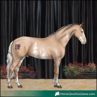 Horse Color:Silver Black Pearl Sabino Appaloosa
