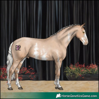 Horse Color:Silver Black Pearl Sabino Appaloosa