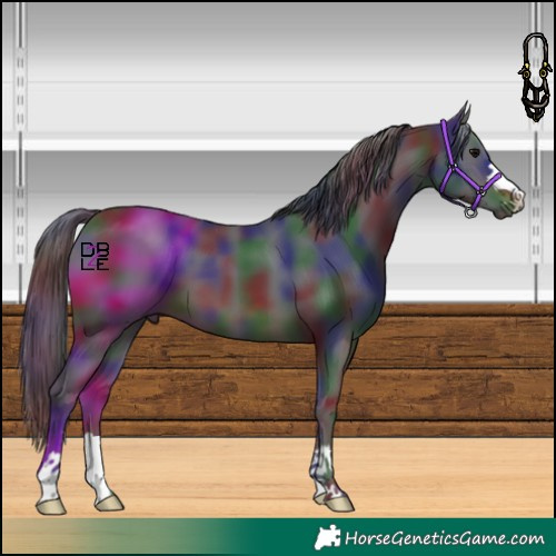 Horse Color:Nacre Brown