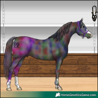Horse Color:Nacre Brown 
