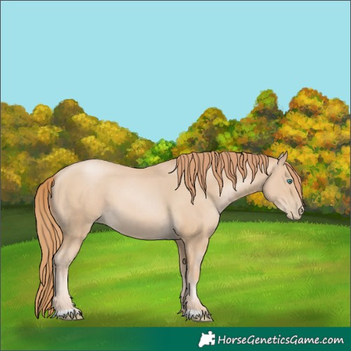Horse Color:Smoky Black Pearl