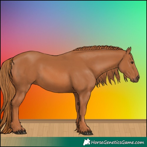 Horse Color:Chestnut 