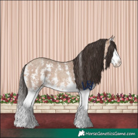 Horse Color:Amber Champagne Sabino Splash 