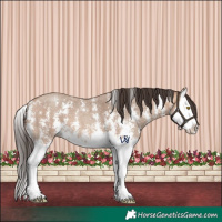 Horse Color:Amber Champagne Sabino Splash 