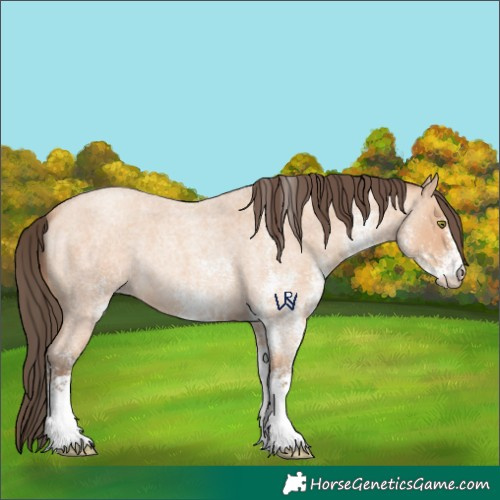 Horse Color:White Spotted Amber Champagne Roan Rabicano 