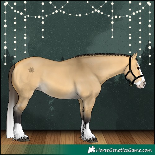 Horse Color:Buckskin Dun Splash