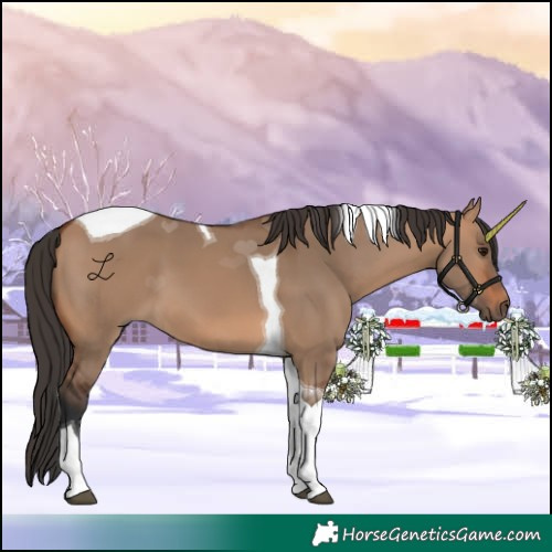 Horse Color:Bay Dun Tobiano 