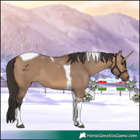 Horse Color:Bay Dun Tobiano 