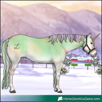 Horse Color:Painted Palomino Onyx