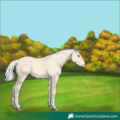 Horse Color:Cremello