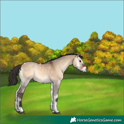 Horse Color:Brown Onyx Tobiano 