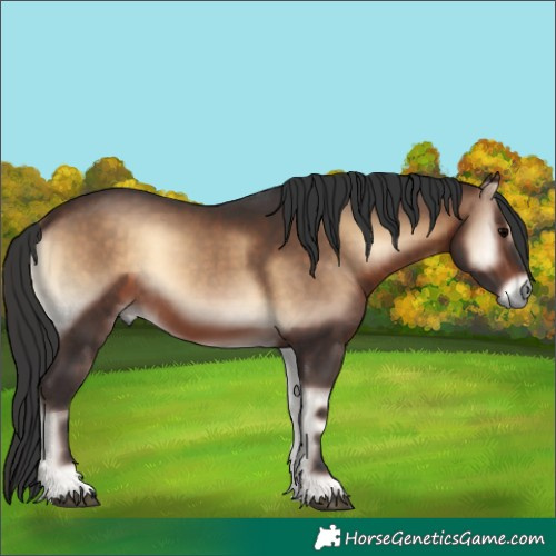 Horse Color:Brown Onyx