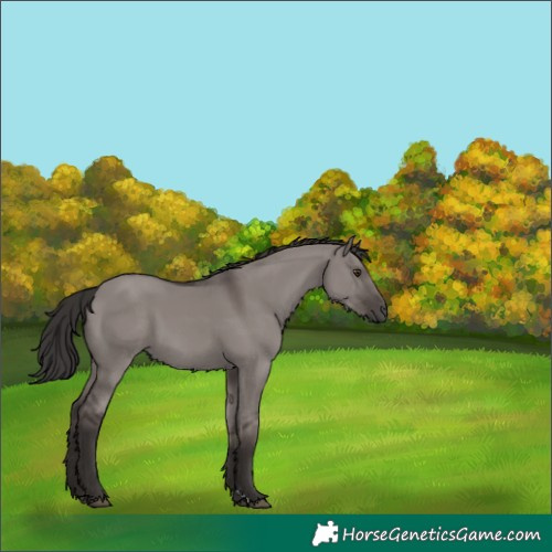 Horse Color:Platinum Liver Red Dun