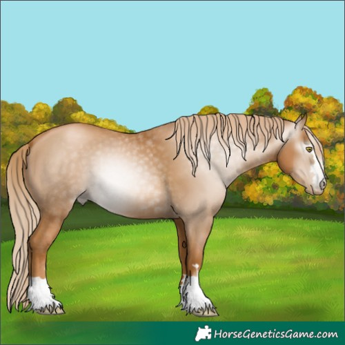 Horse Color:Gray Chestnut Pearl 