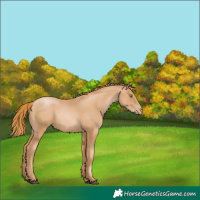 Horse Color:Chestnut Pearl 