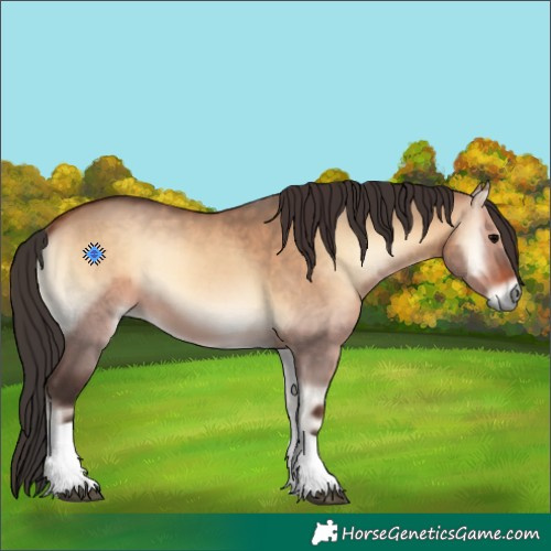 Horse Color:Bay Onyx Tobiano