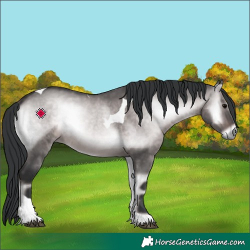 Horse Color:Platinum Brown Onyx Tobiano