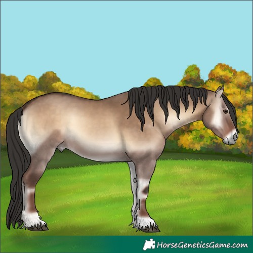 Horse Color:Liver Red Dun Onyx 