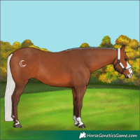 Horse Color:Silver Brown