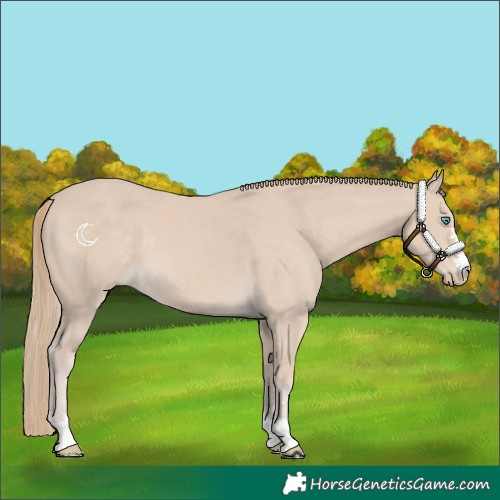 Horse Color:Smoky Creme 