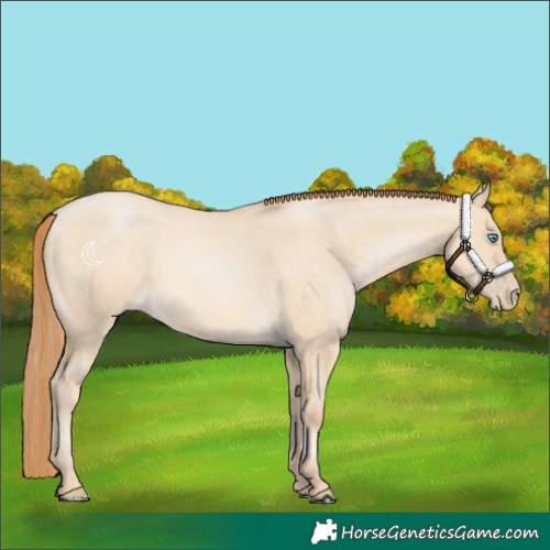 Horse Color:Buckskin Pearl Dun 