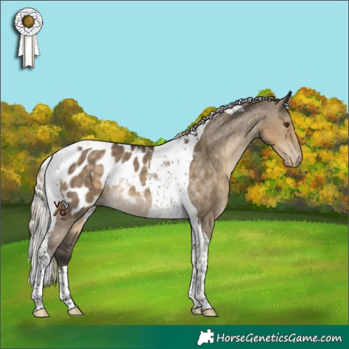 Horse Color:Silver Smoky Grullo Tobiano Appaloosa 