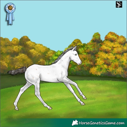 Horse Color:Buckskin Sabino 