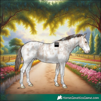 Horse Color:Amber Champagne Ice Sabino Appaloosa