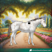 Horse Color:Amber Champagne Ice Sabino Appaloosa