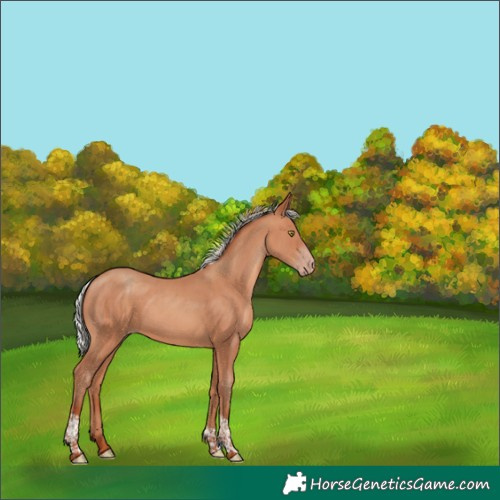 Horse Color:Silver Sable Champagne Tobiano Rabicano 