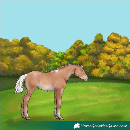 Horse Color:Silver Sable Champagne Tobiano 
