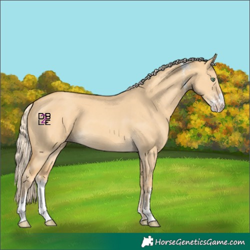 Horse Color:Gold Cream Champagne Dun Sabino