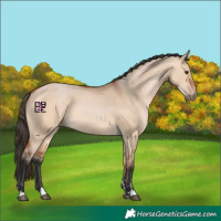 Horse Color:Bay Dun