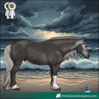 Horse Color:Gray Silver Black Tobiano 
